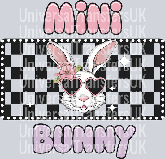 Chequered Mini Bunny with Heart Shape Glasses