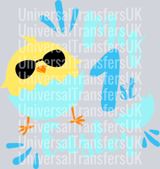 My 1st easter chick boy