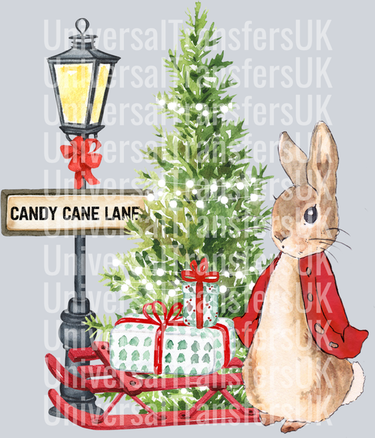 Hand Drawn Peter Rabbit Candy Cane Lane